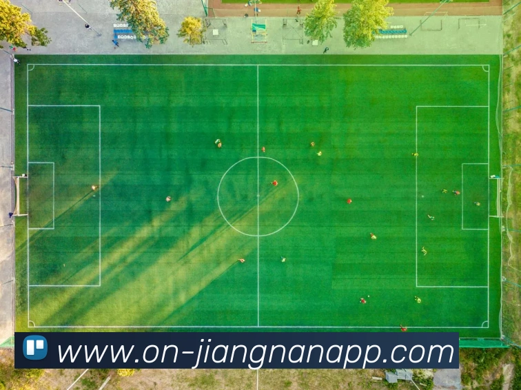 奖项图2